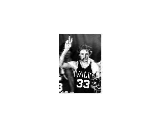 Larry Bird Champ Sticker #49